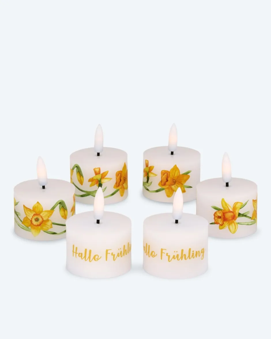 Discount 6 LED-Teelichter "Frühling" mit Geschenkbox Dekoration