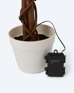 Outlet Beleuchteter Outdoor-Rosenbaum Dekoration