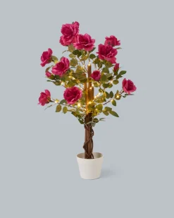 Outlet Beleuchteter Outdoor-Rosenbaum Dekoration