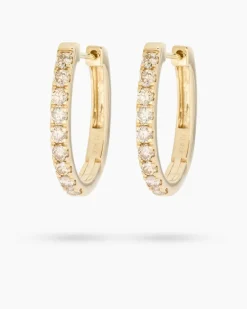 Hot Brillant-Creolen 1,0 ct Ohrringe