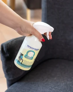 Clearance Fleck-Ex Schaumbooster Reinigen