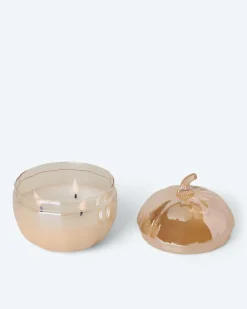 Outlet Glaskürbis mit LED Flammen Dekoration