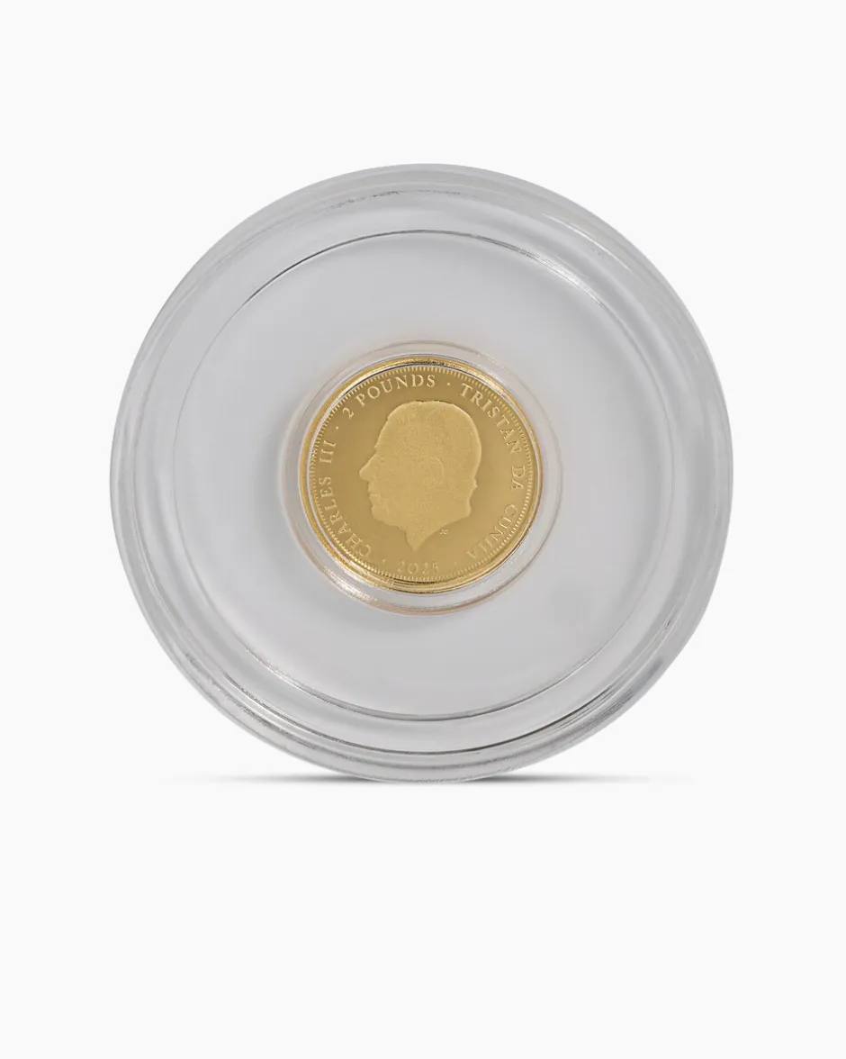 New Gold Panda Artist Edition, 8tlg. Münzen