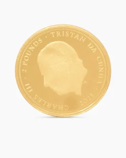 New Gold Panda Artist Edition, 8tlg. Münzen