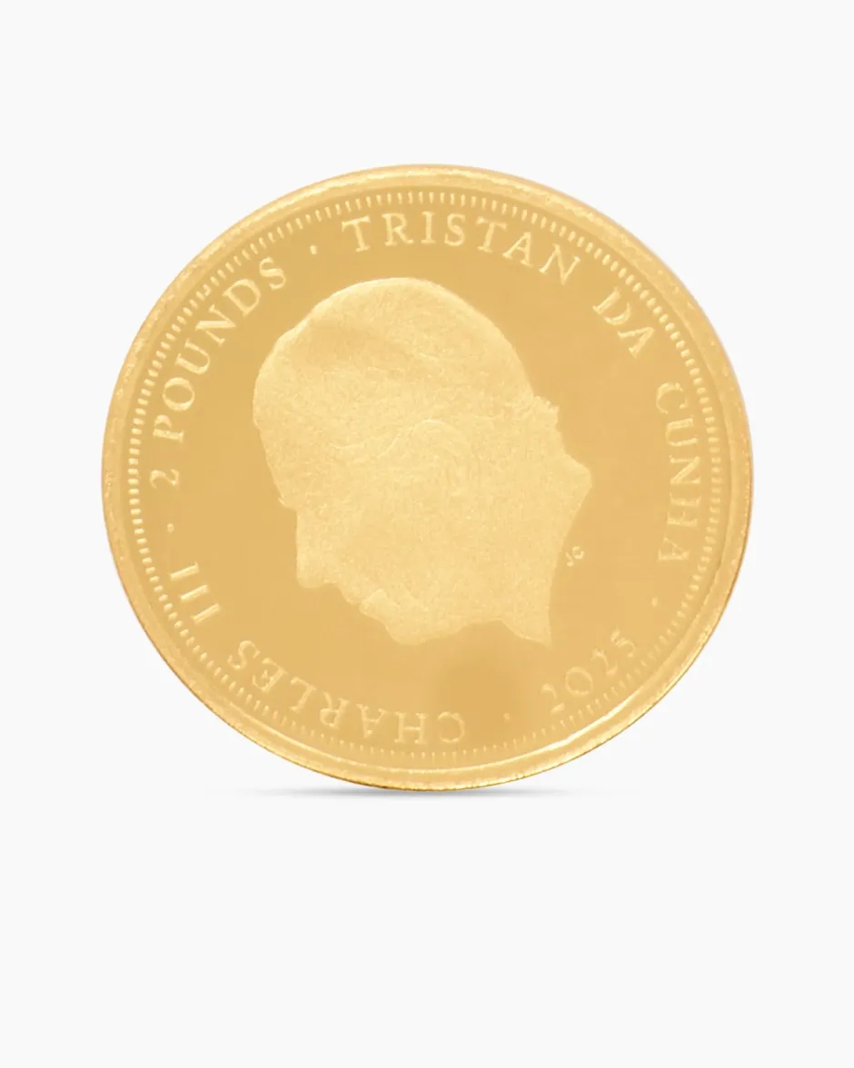 New Gold Panda Artist Edition, 8tlg. Münzen