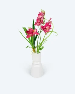 Sale Kahnorchideen-Arrangement Dekoration