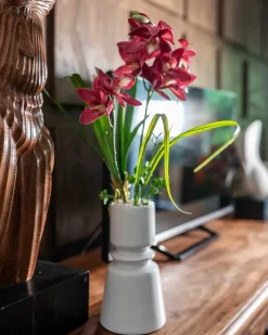 Sale Kahnorchideen-Arrangement Dekoration