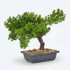 Sale Künstlicher Bonsai Dekoration