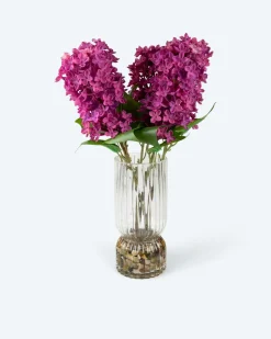 Outlet Kunst-Flieder & Vase Dekoration