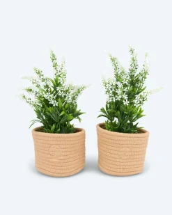 Sale Kunstlavendel im Deko-Korb, 4tlg. Dekoration