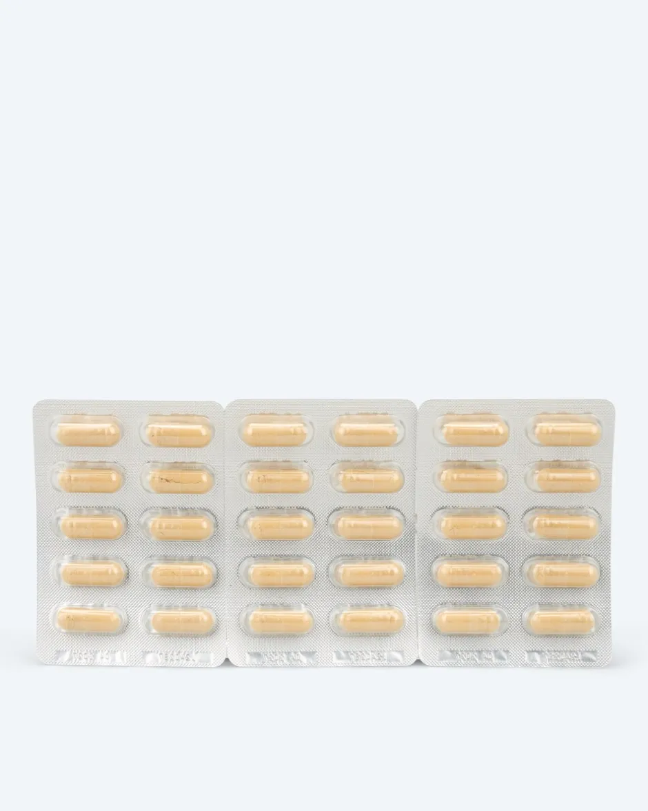 Best Leber PROTECT, 30 Kps. Nahrungsergänzung