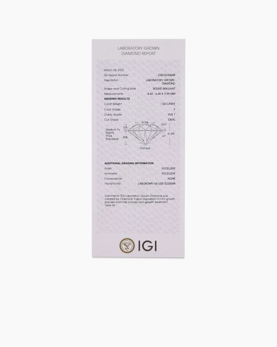 Clearance Omegareif mit Anhänger "Lab Grown" 1,00 ct Halsketten & Colliers