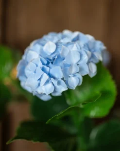 Best Outdoor-Kunsthortensie Dekoration