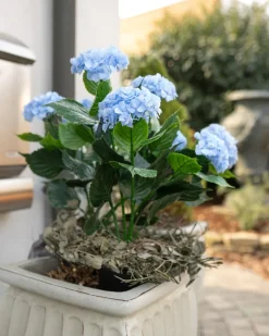 Best Outdoor-Kunsthortensie Dekoration