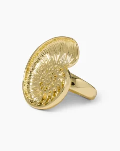 Best Ring im Muschel-Design Ringe