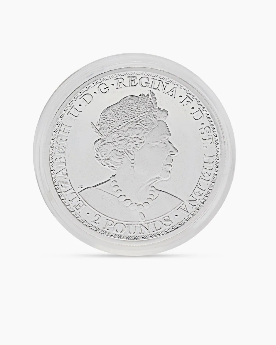 New Silbermünze Una und Löwe 2022 Münzen