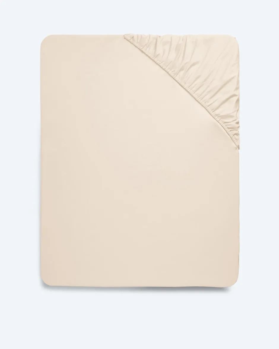 Hot Spannbettlaken uni, 1tlg. Heimtextilien