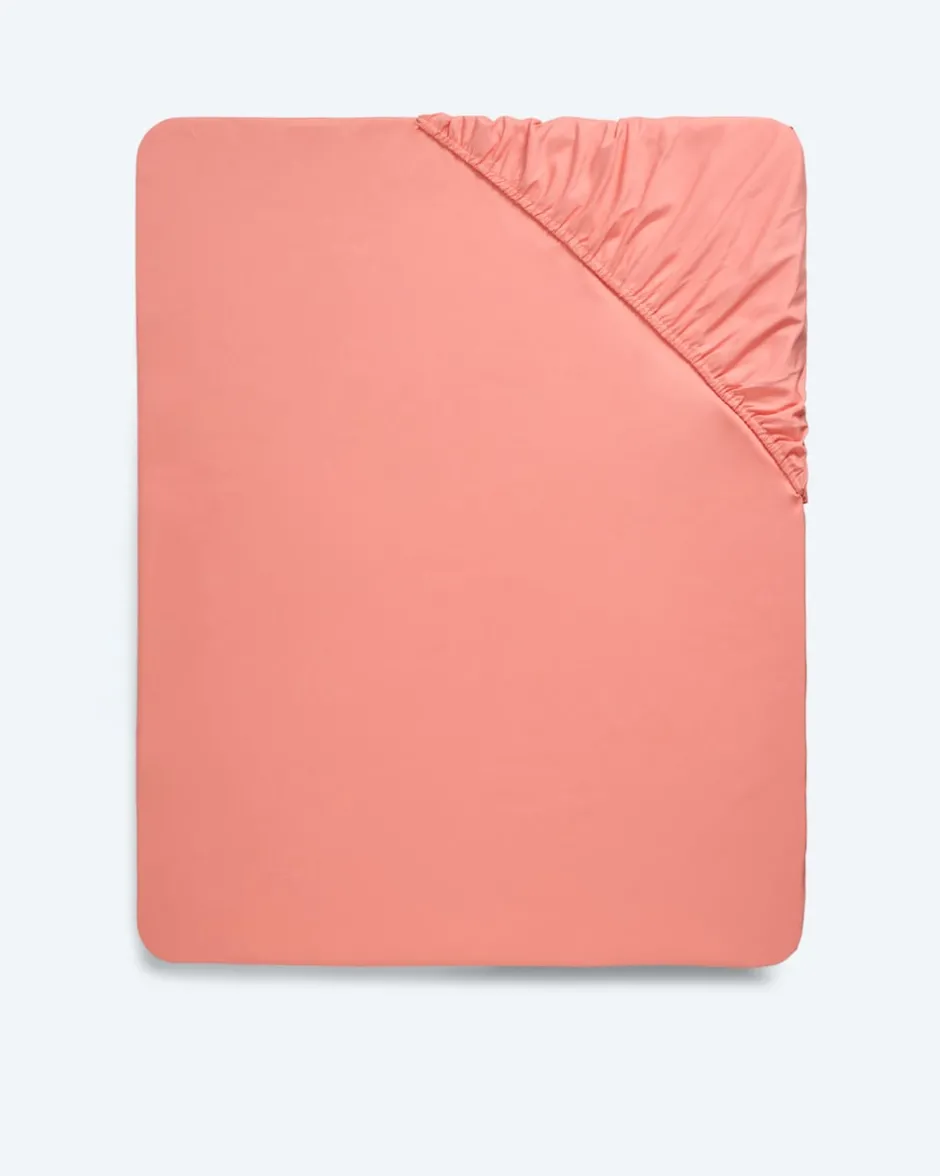 Hot Spannbettlaken uni, 1tlg. Heimtextilien